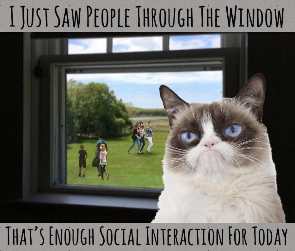 Socially Distant but Still Interacting! New and Improved Updates to macOS/iOS CoreDuet interactionC.db APOLLO Modules