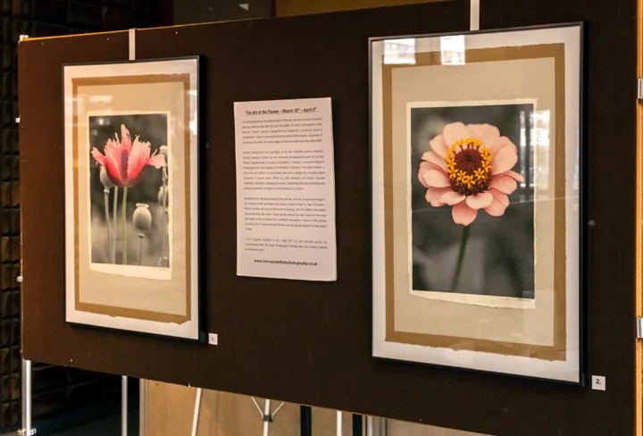'Art of the Flower' Exhibition - March 2013
