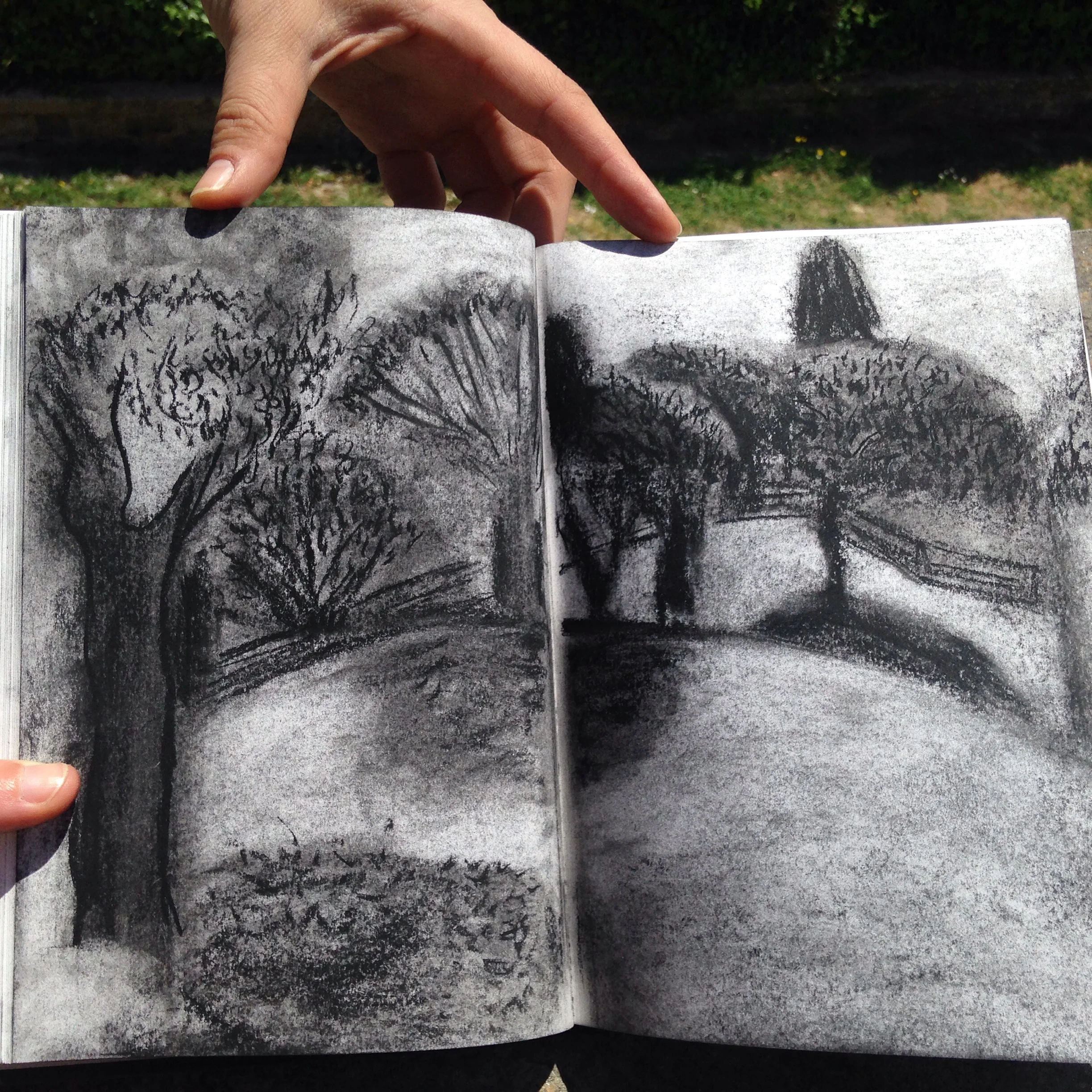 Drawing by Gayatri Mohan
