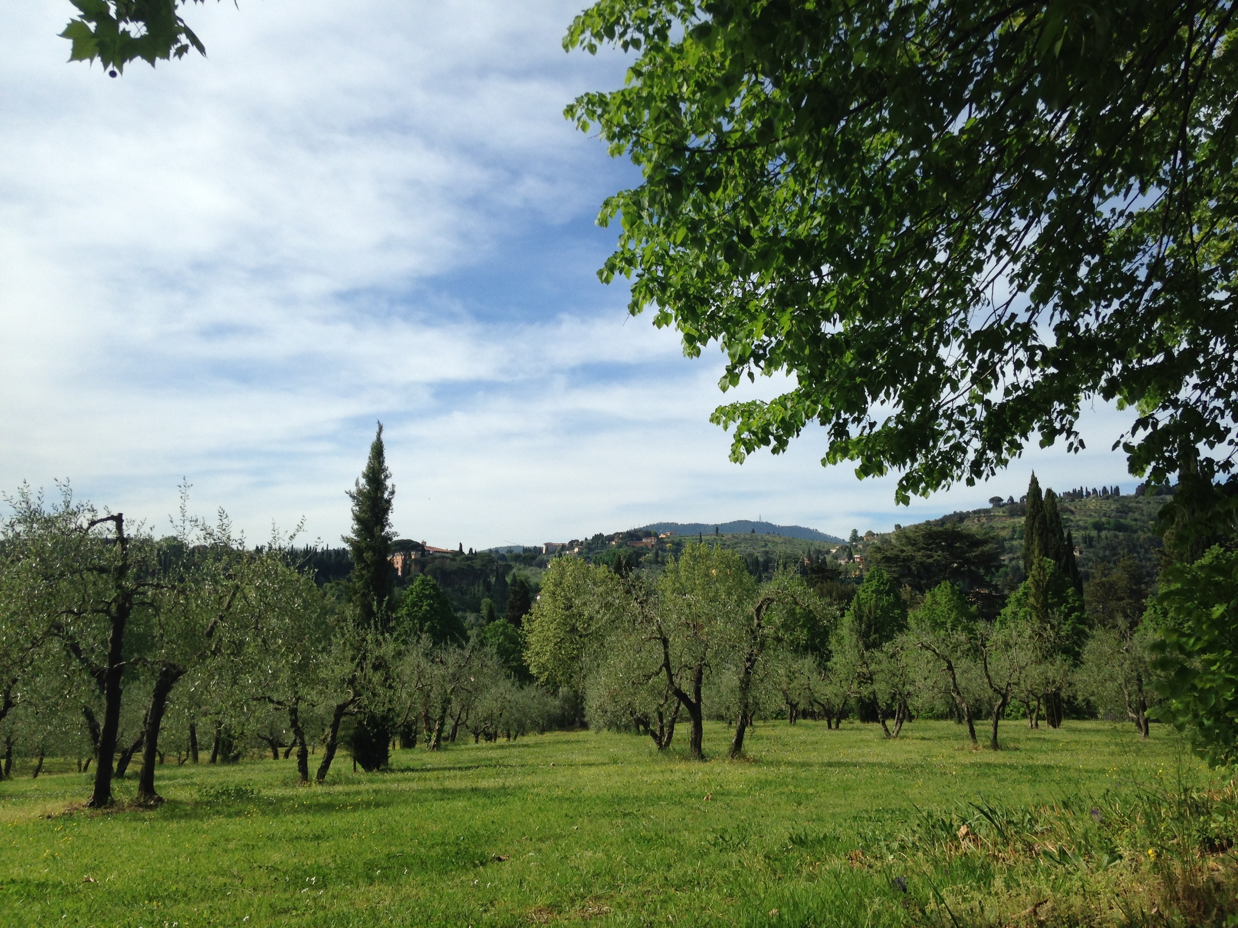 The beautiful (2 hour!) walk back. Long, but worth it for those olive groves...