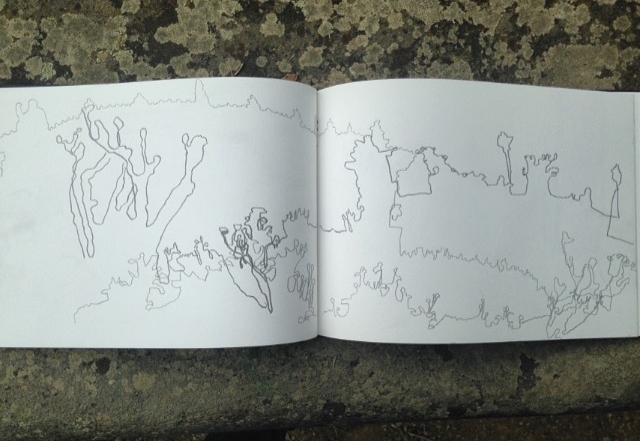 Blind Contour Drawing by Katie Shulman