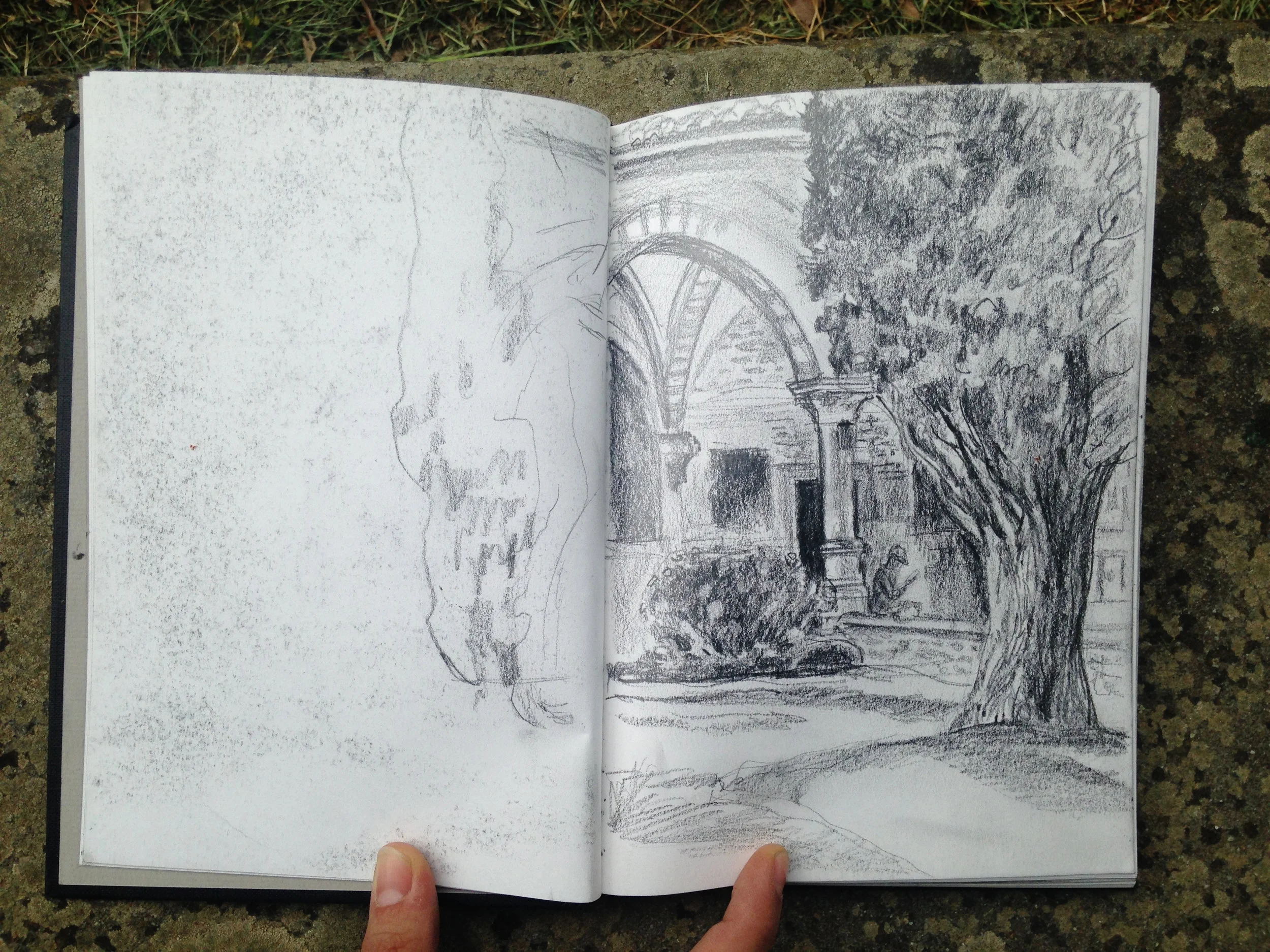 Drawing by Patricia Kehler