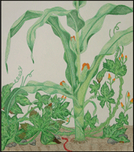 ^ Nature-inspired Illustration - colored pencil