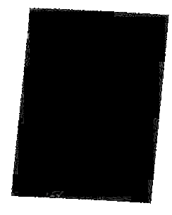 WOMAN / The Morning After Girls