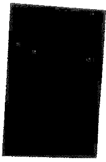 WOMAN / Fortune's Flesh