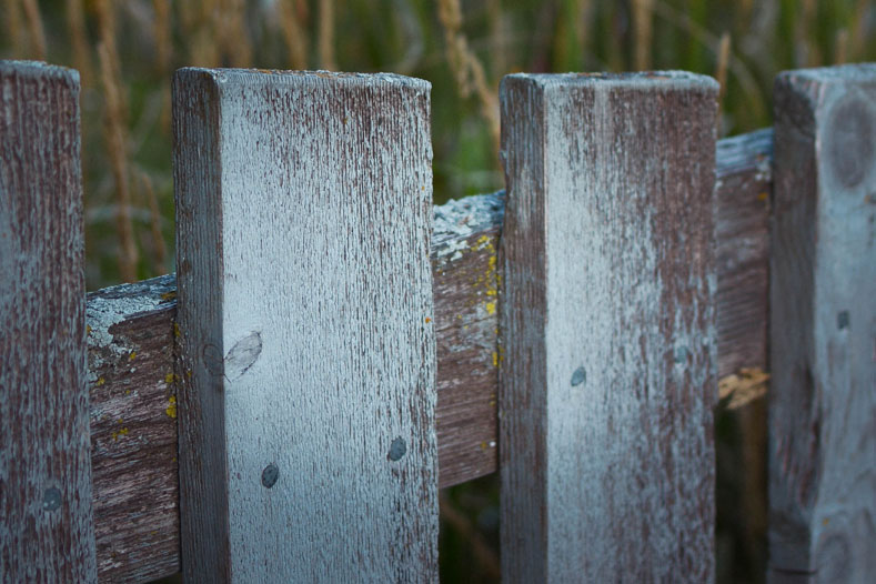 FARM FENCE PATINA