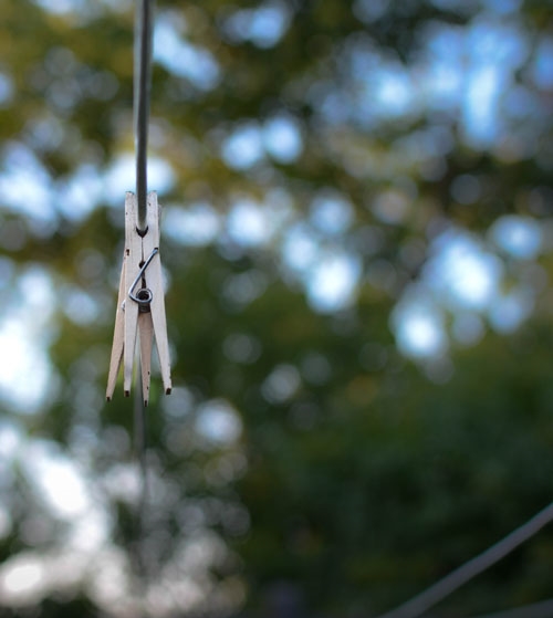 BACKYARD CLOTHES LINE