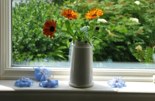 KITCHEN WINDOW CALENDULA