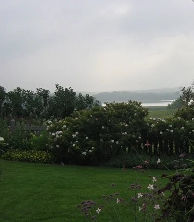 VIEW OVER THE GARDENS