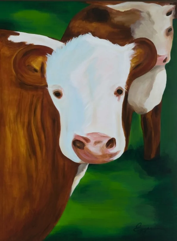 Gentle Hereford