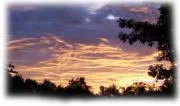 Let everything that has breath praise the Lord. Psalm 150:6