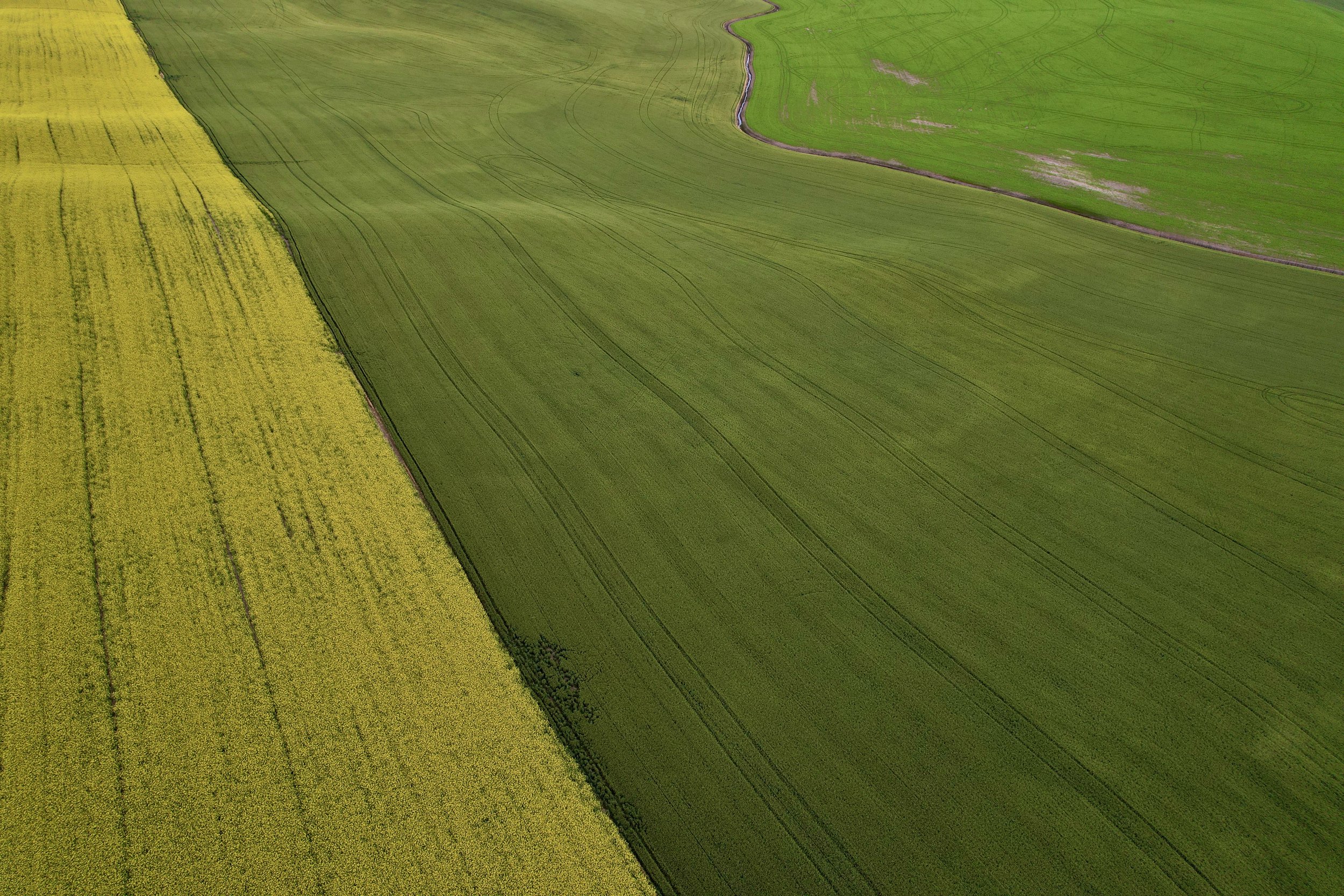 Photo_6554377_DJI_777_jpg_9852041_0_202275201442_photo_original.jpg.jpg