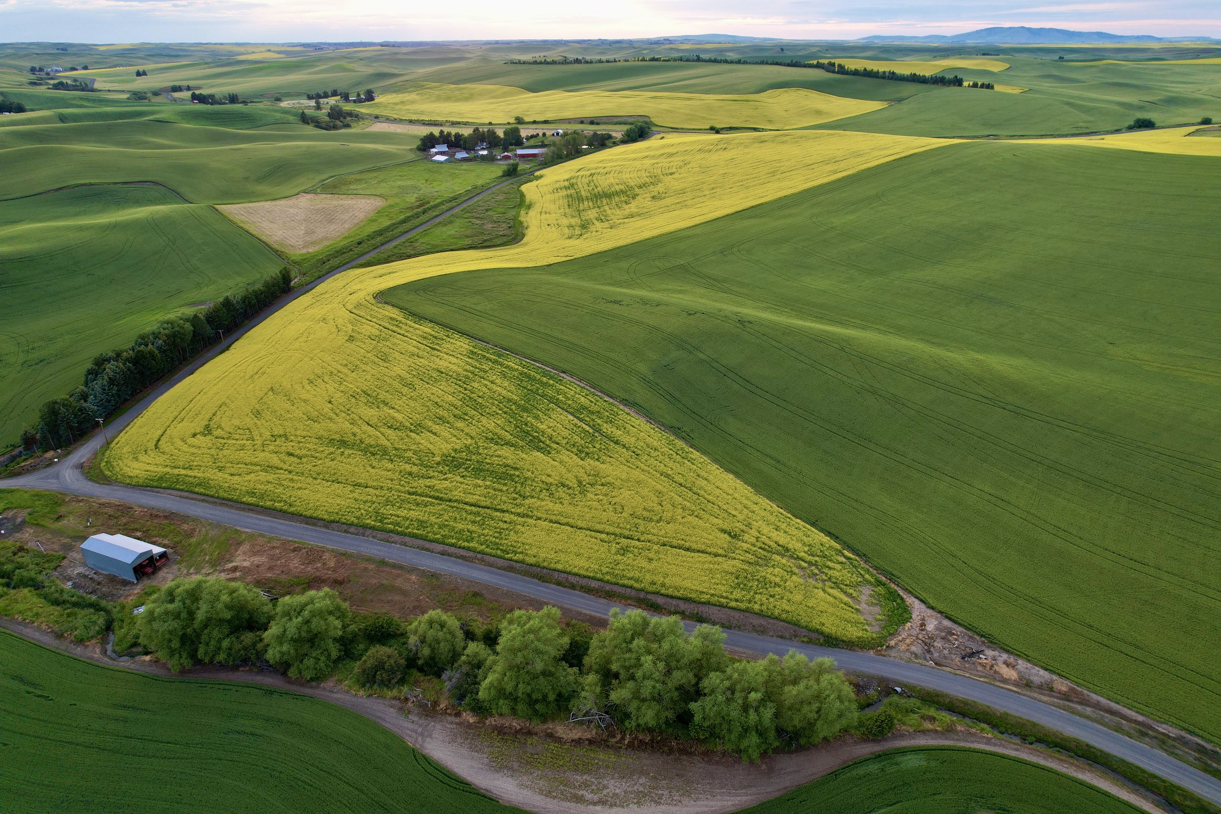 Photo_6554361_DJI_761_jpg_8644102_0_20227520440_photo_original.jpg.jpg