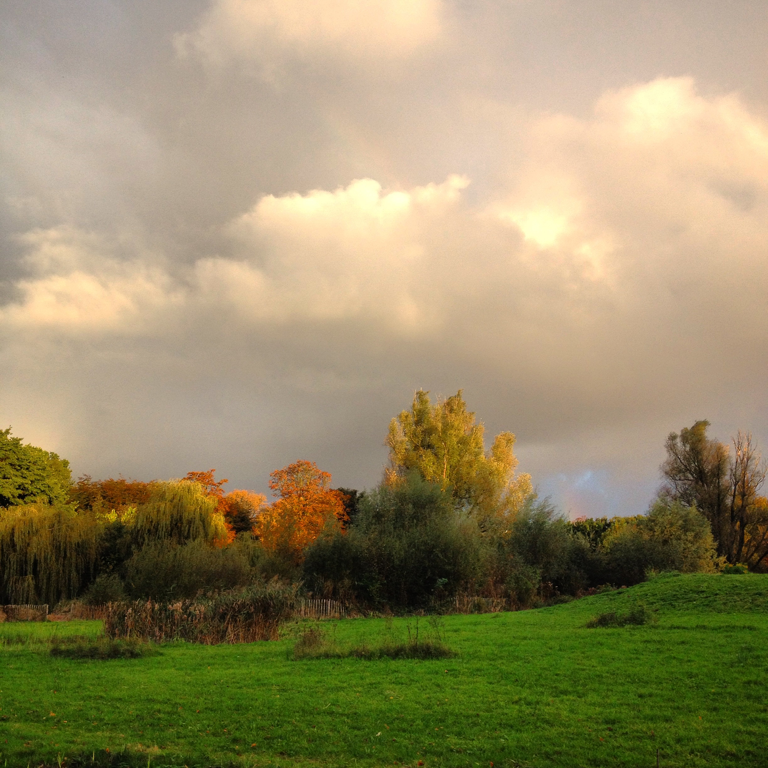Clouds, Vondelpark series 2014