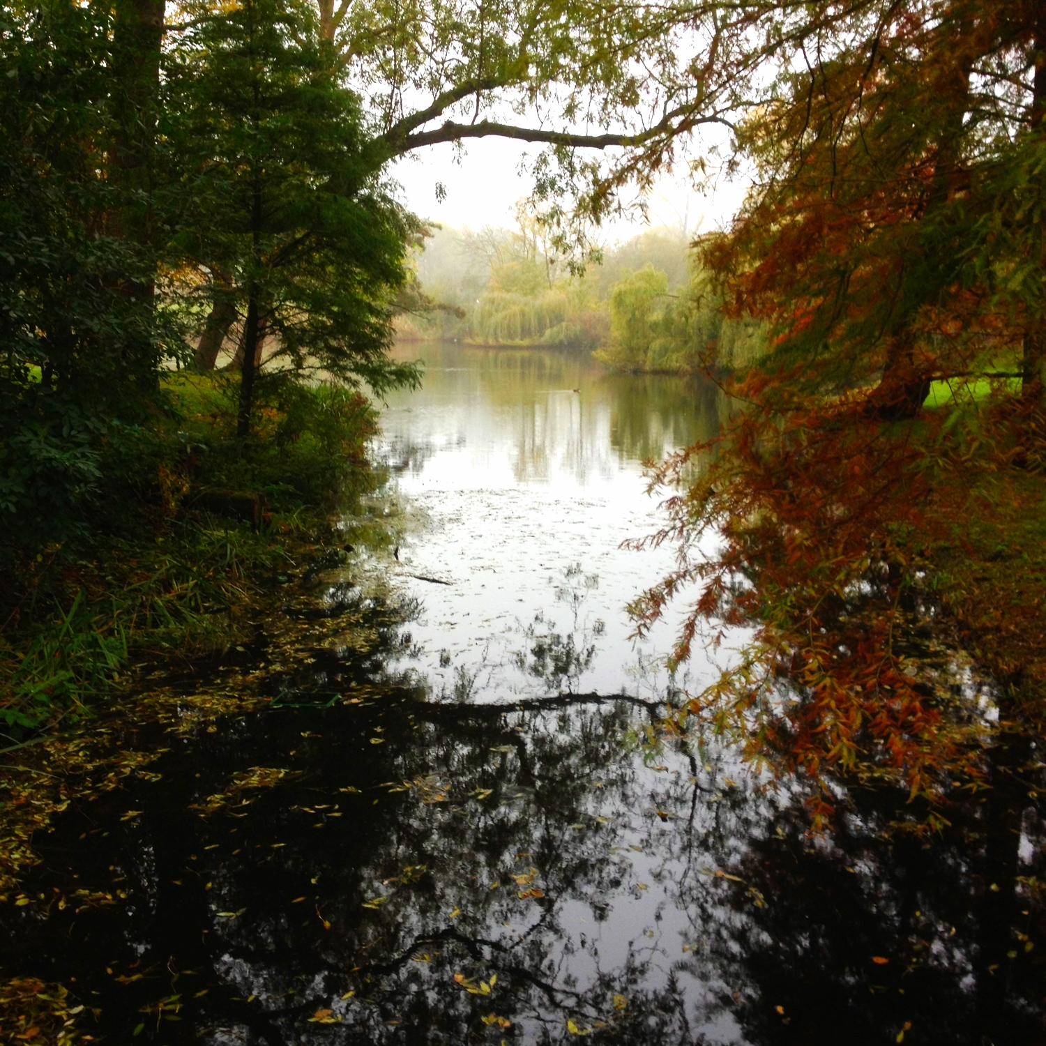 View of the lake, Vondelpark series 2014
