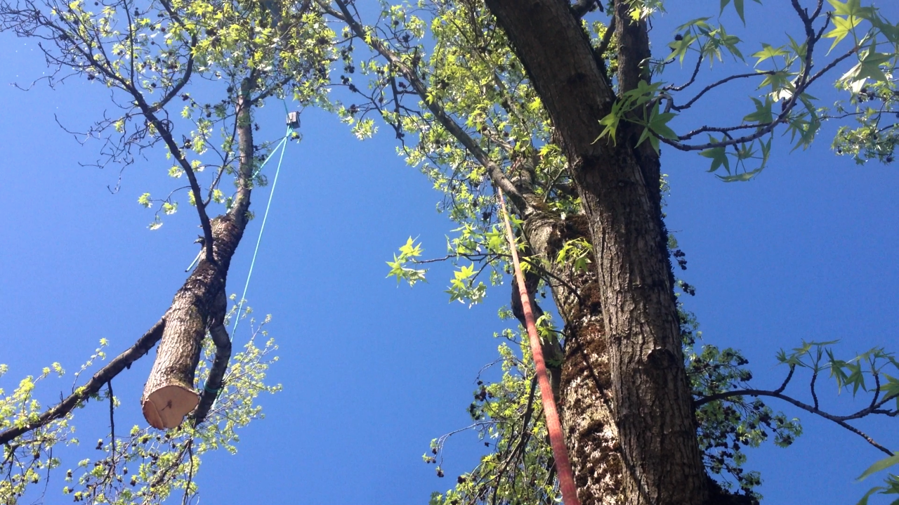 Crane assisted removal in downtown Portland