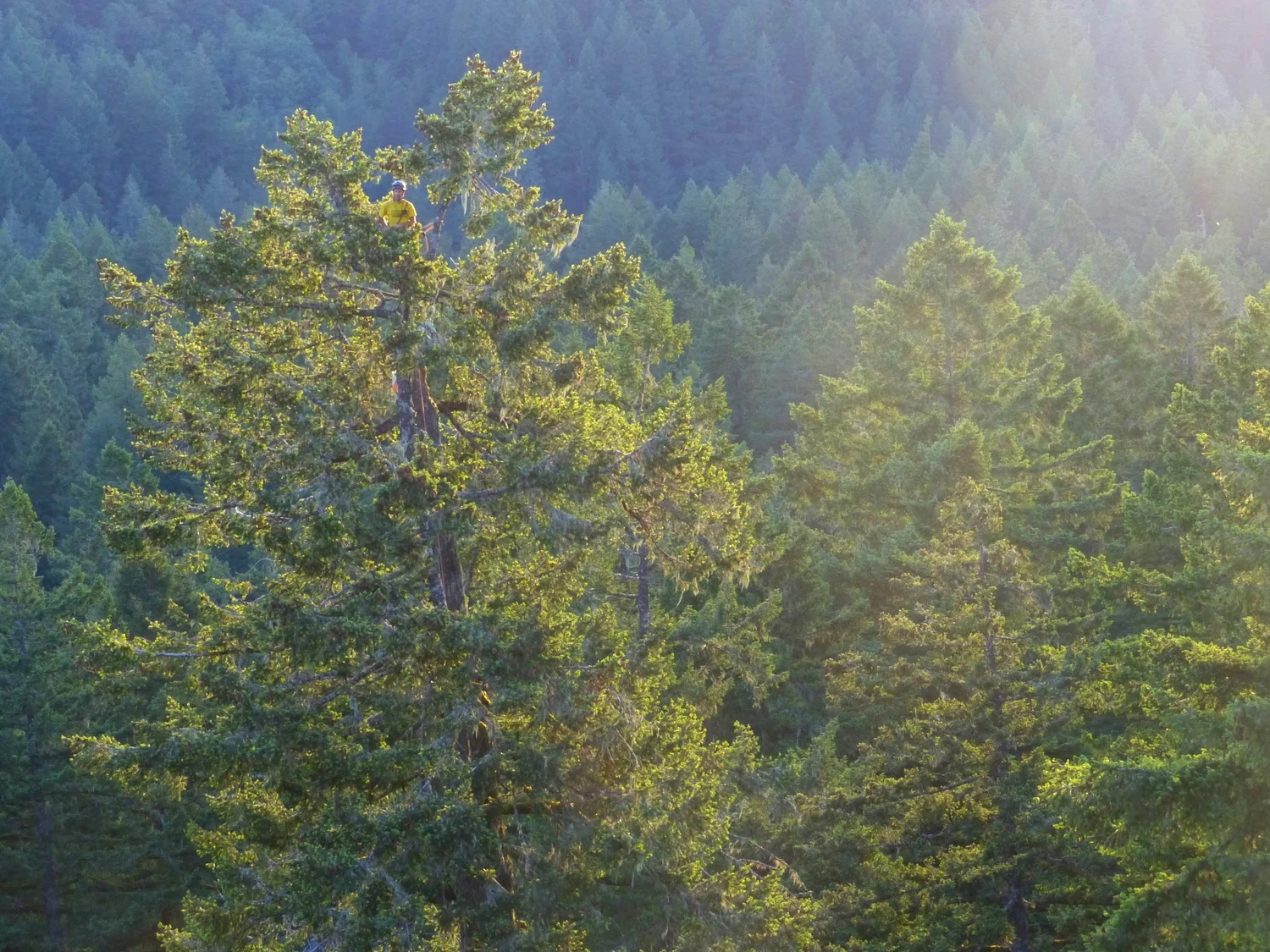 Location scouting in Oregon State Parks