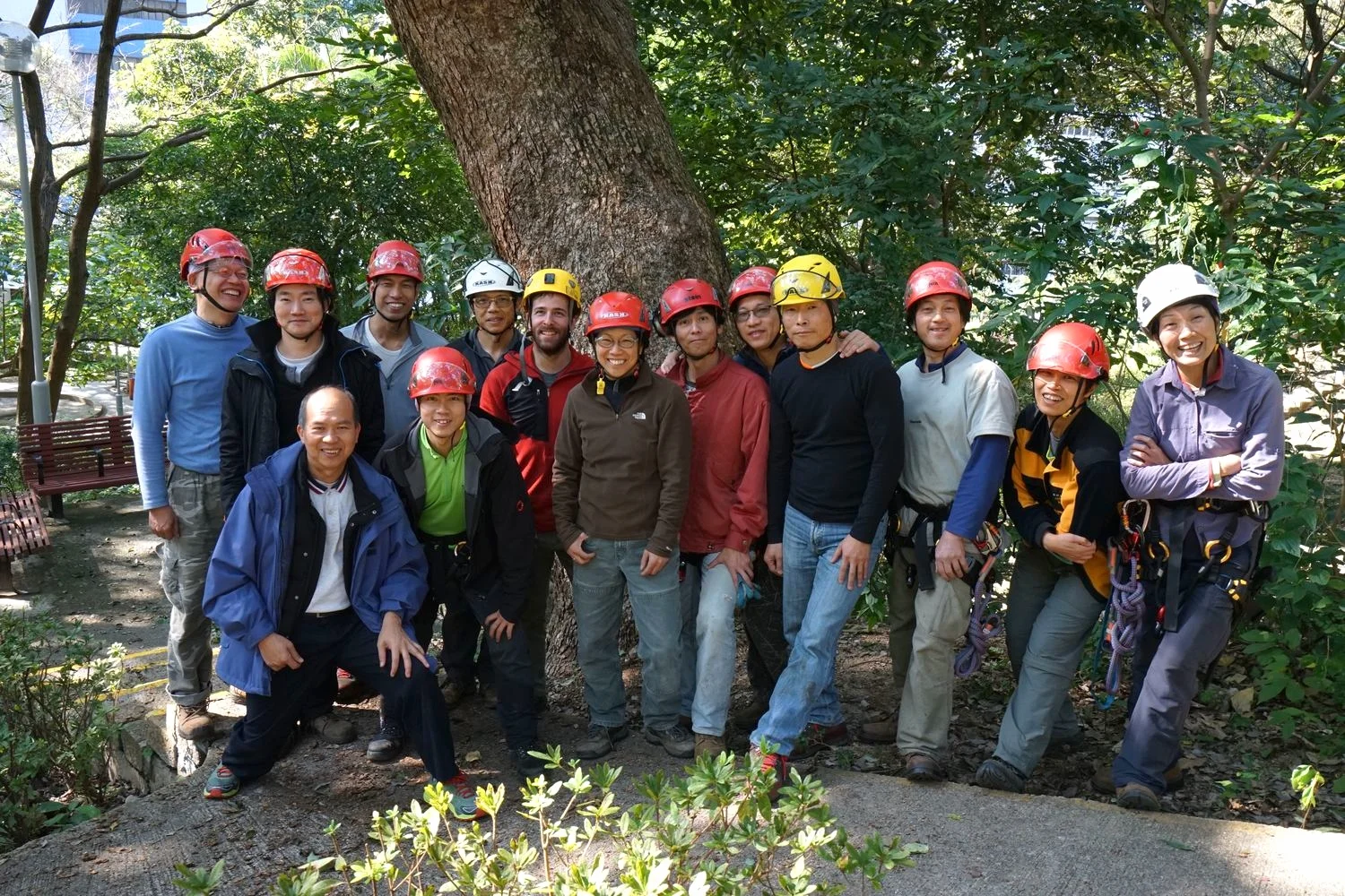 Tree Climber Training for Hong Kong Government