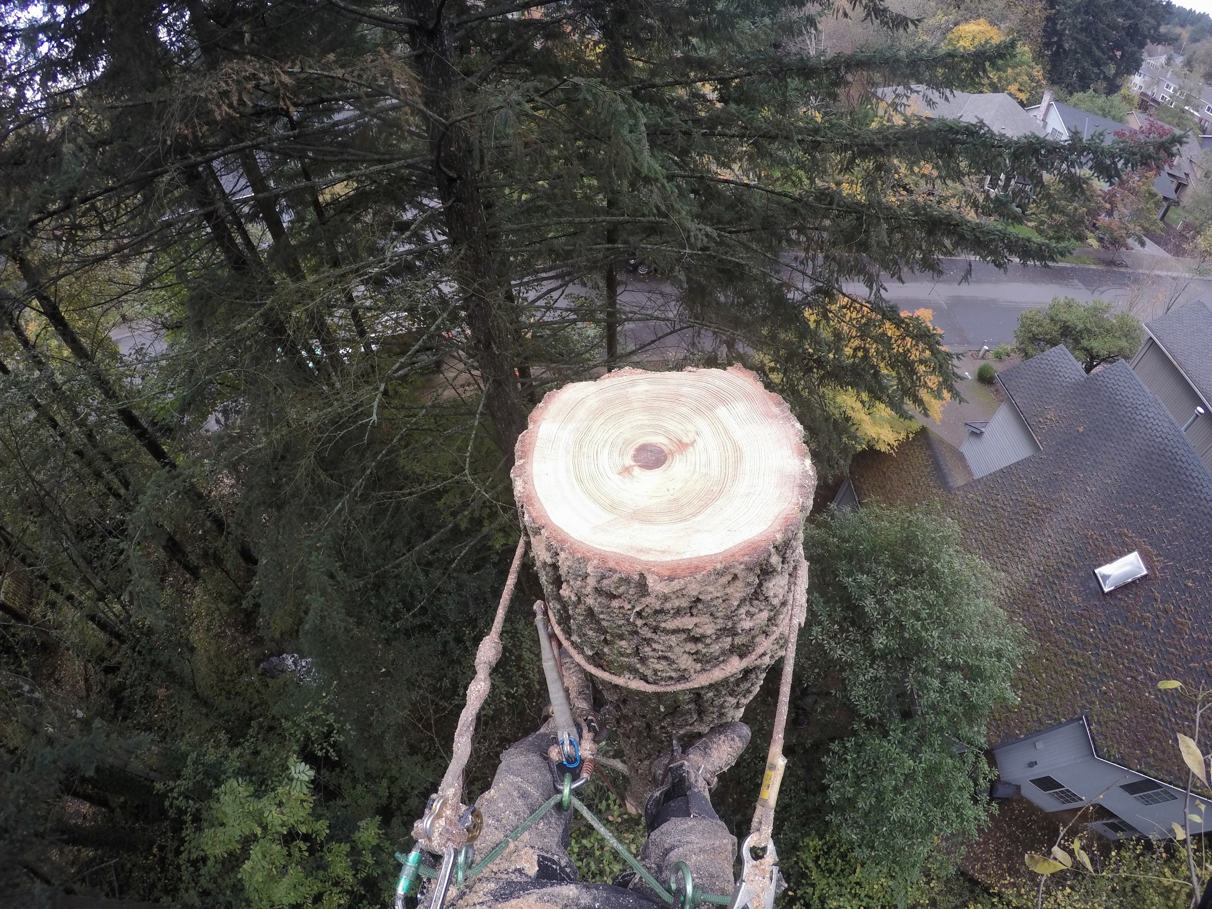 Contract Climber Services