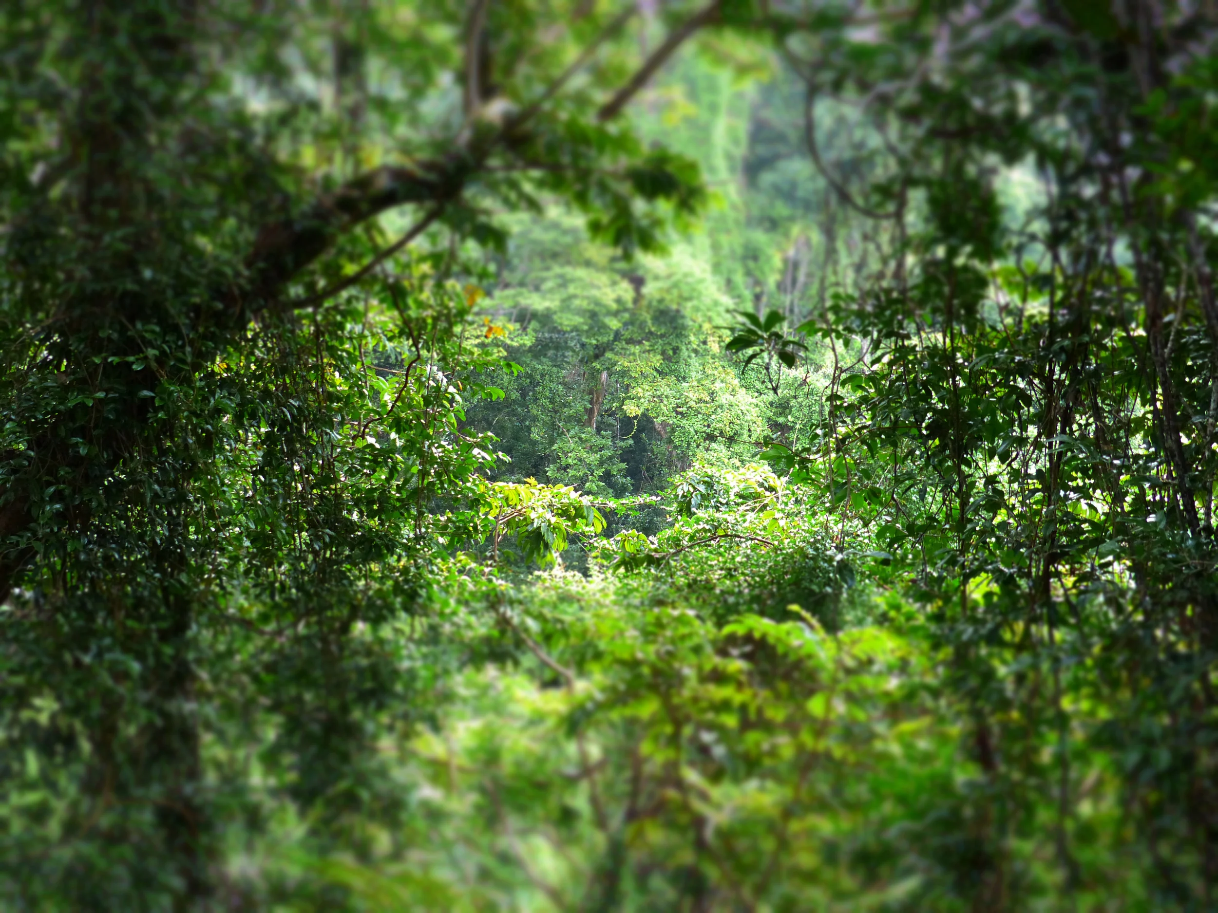 P1000595_Fotor.jpg
