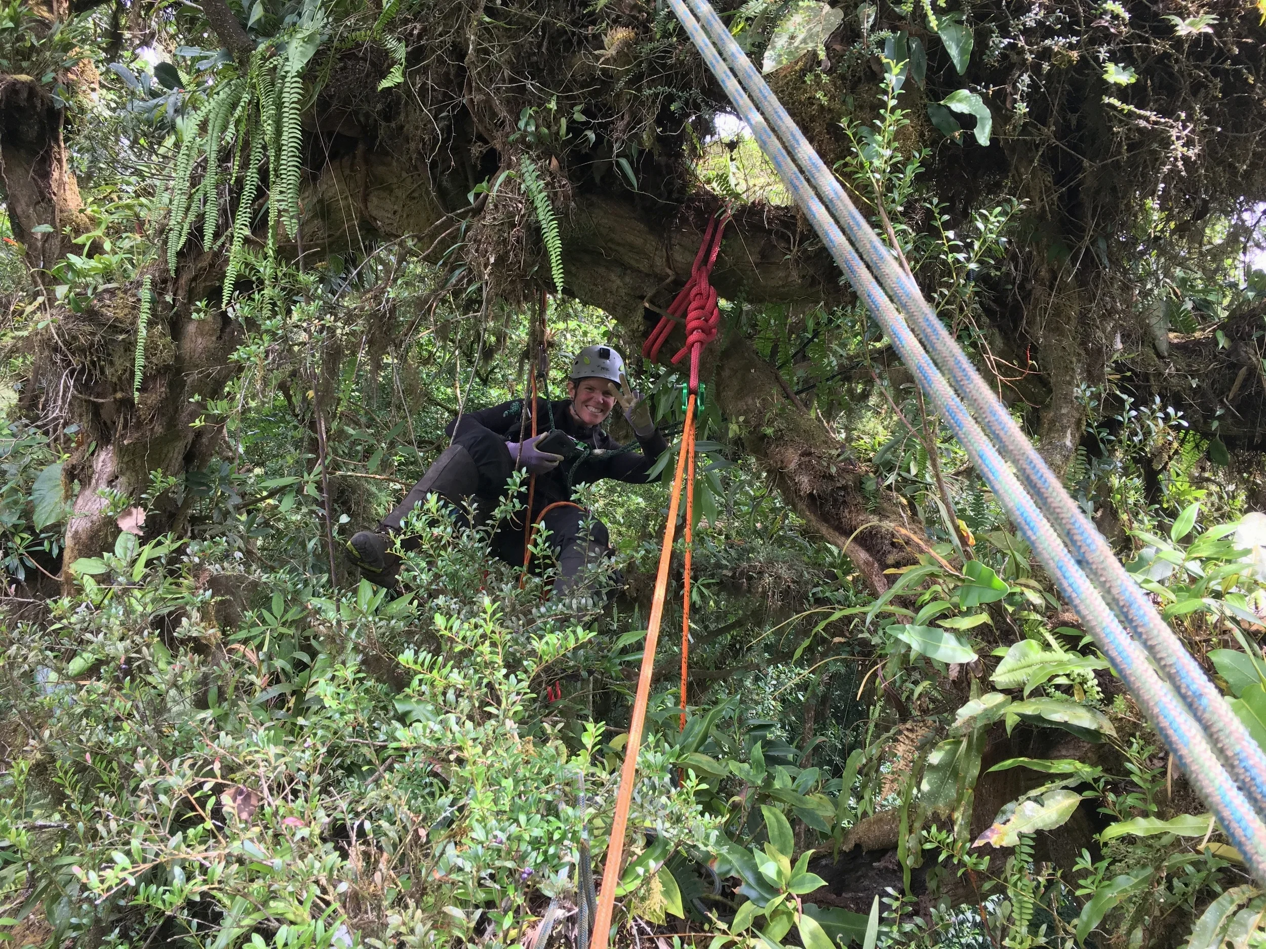 Biomass Study in Costa Rica