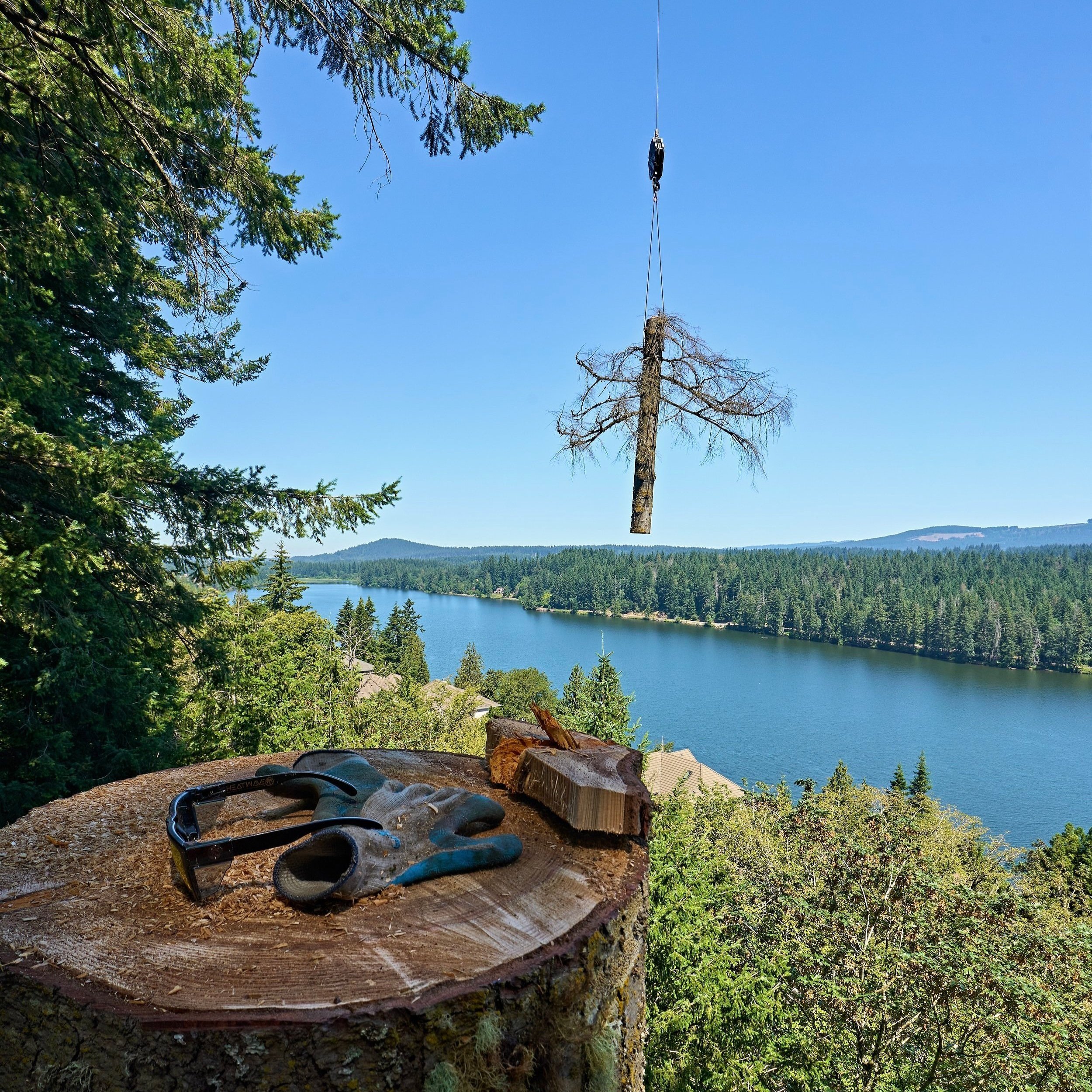Tree Removal and Emergency Response