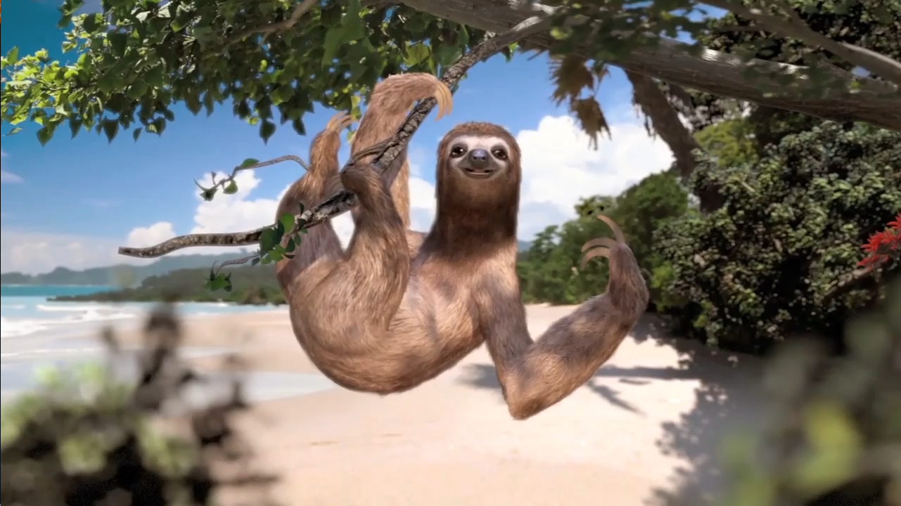Thumbnail_CostaRica_Sloth.png