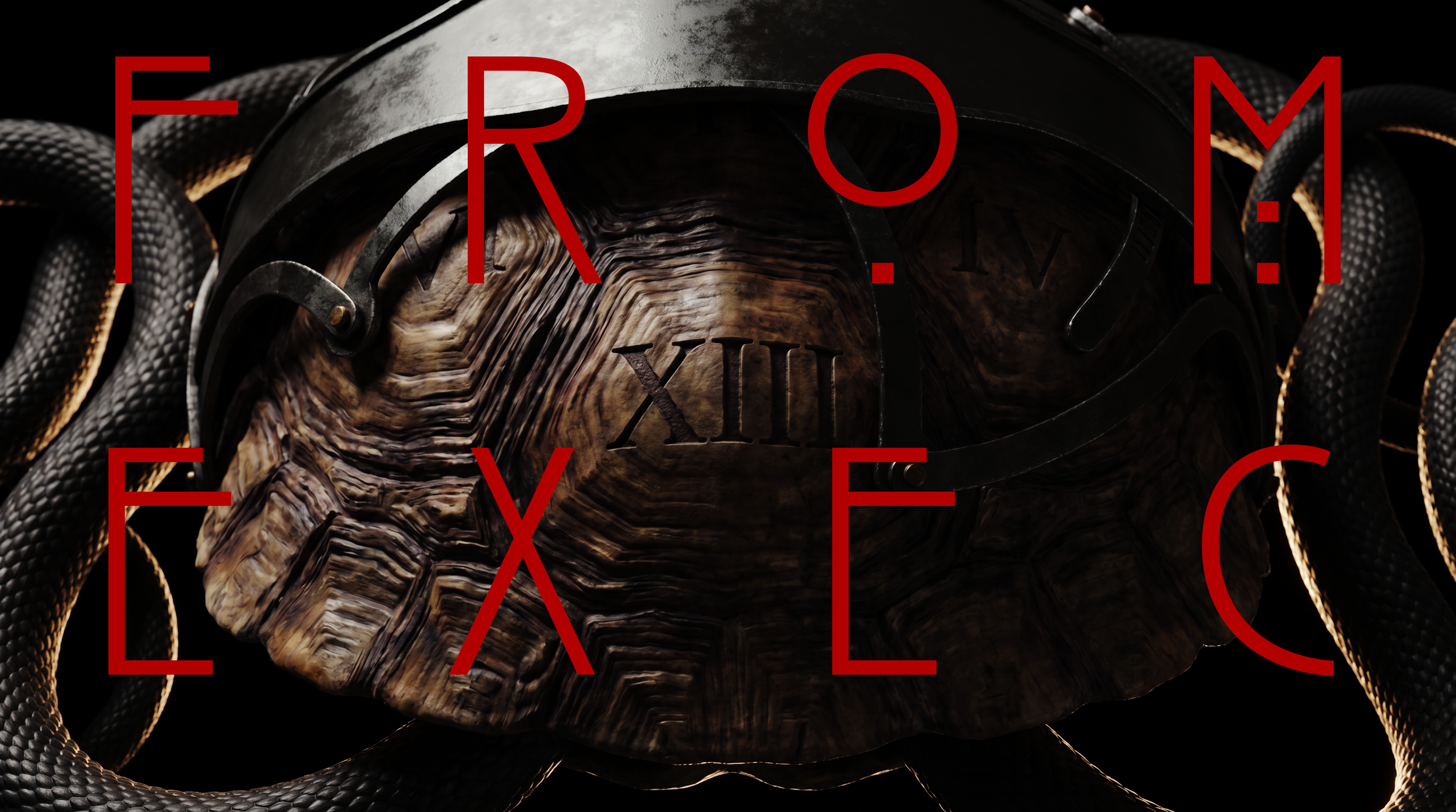 AHS13_PKG_DesignFrame08_TOrtoiseShell_CU_v01.png
