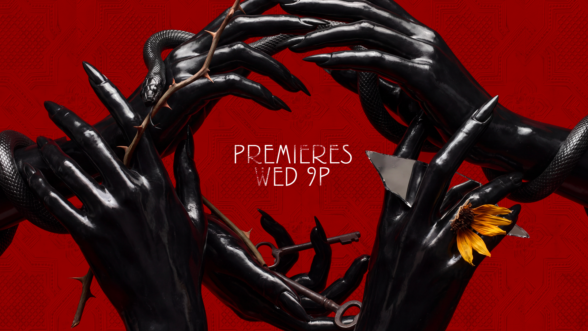 AHS13_PKG_REDBLACK_Frame08_v02.png