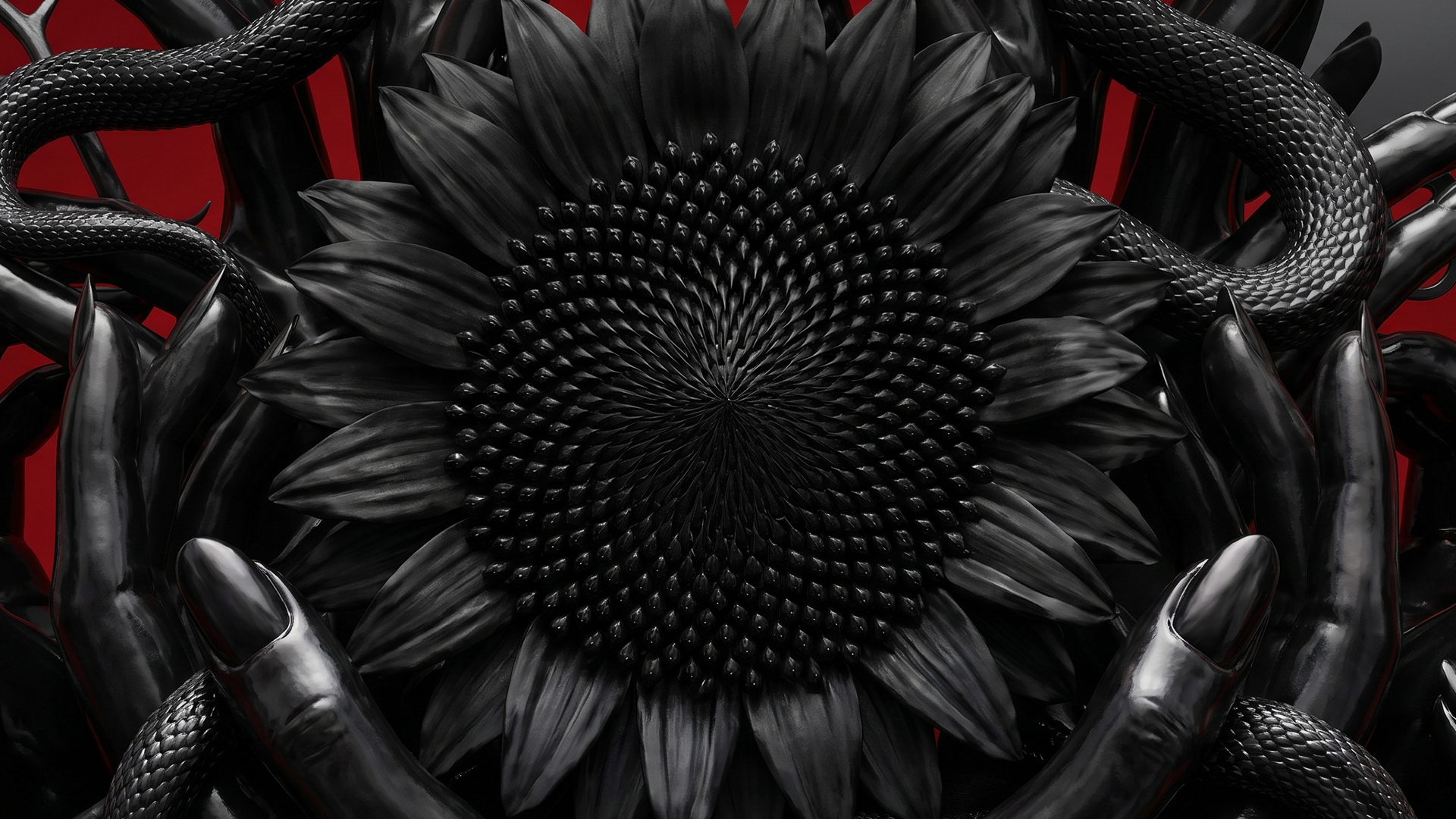 AHS13_PKG_REDBLACK_Frame10_v01.png