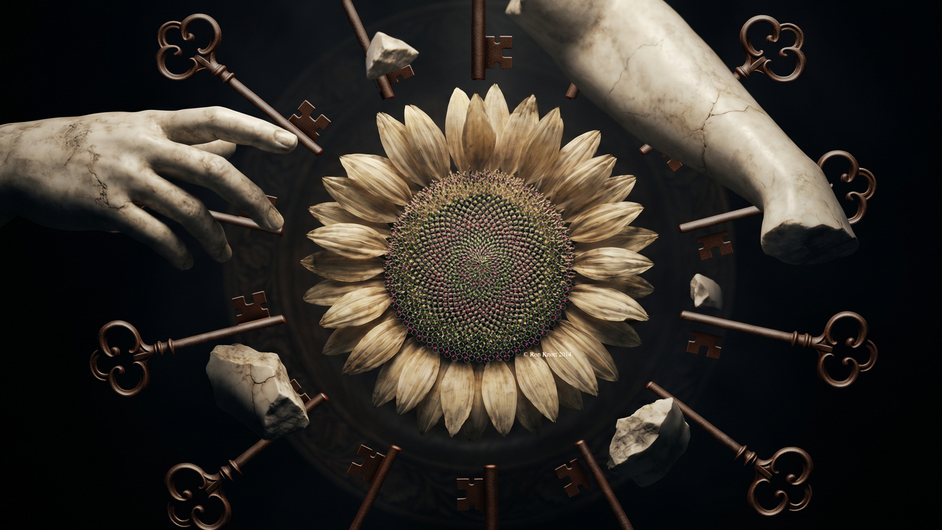 AHS13_PKG_DesignFrame01.png