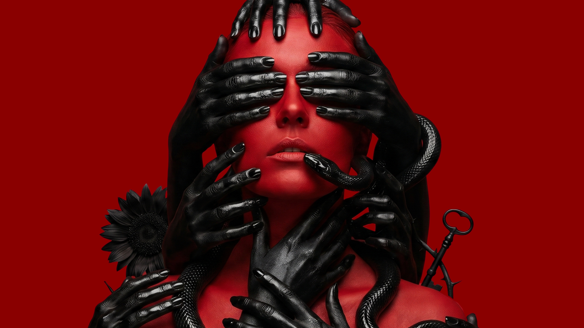 AHS13_PKG_REDBLACK_Frame03_v01.png