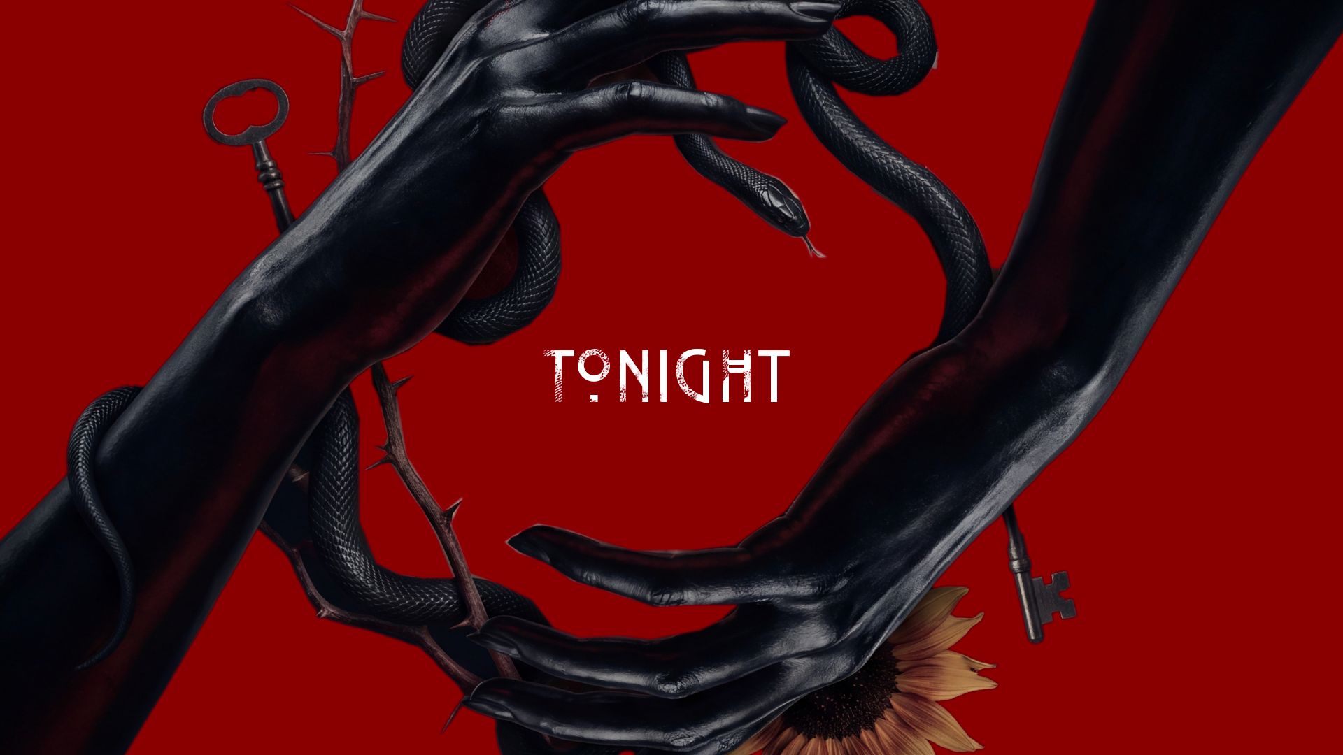 AHS13_PKG_REDBLACK_Frame06_v01.png