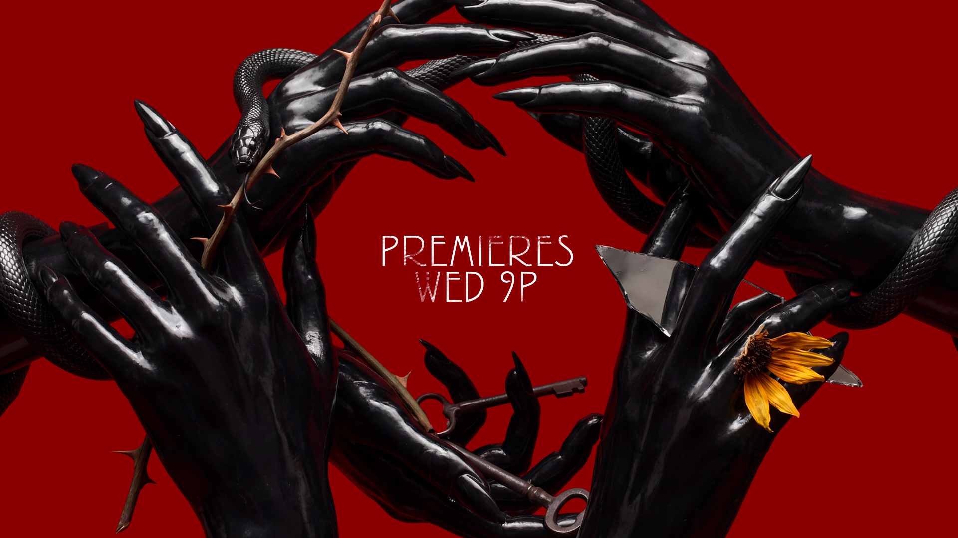 AHS13_PKG_REDBLACK_Frame08_v01.png