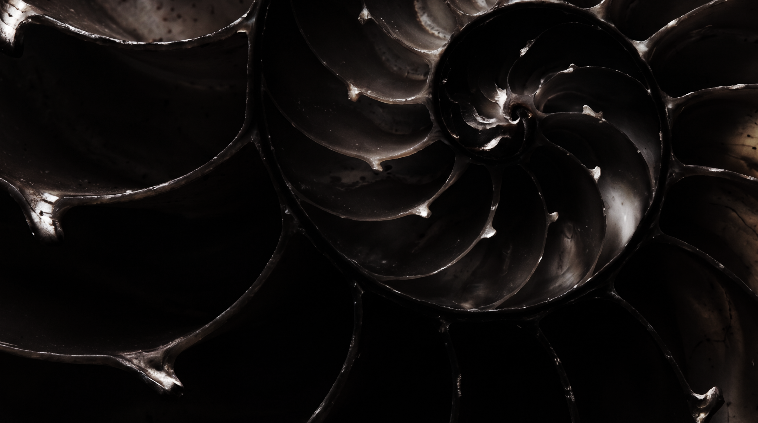 AHS13_PKG_DesignFrame09_NautilusCU_V01.png