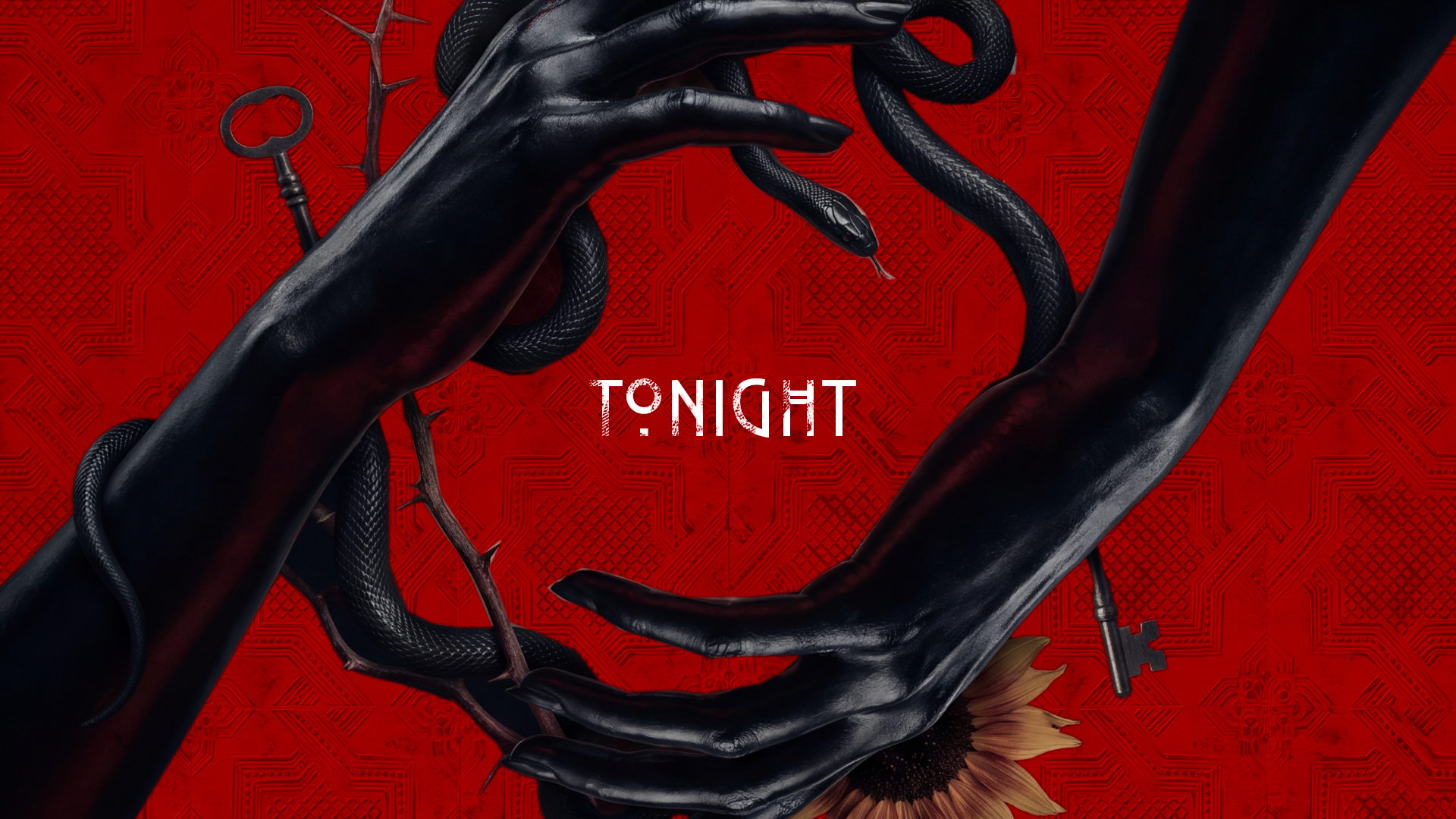 AHS13_PKG_REDBLACK_Frame06_v02.png