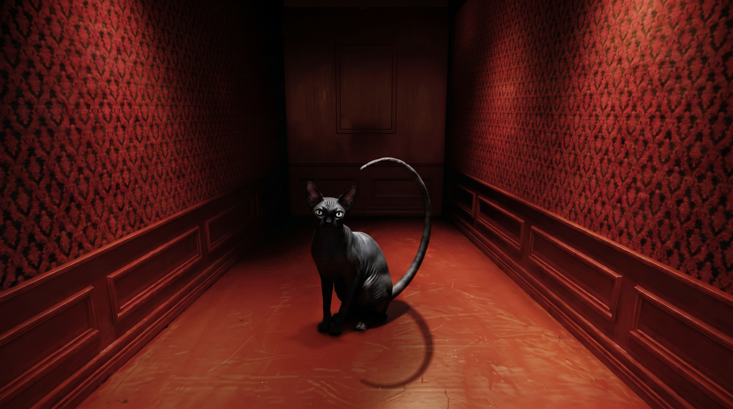 Cat_Froms_13_v04 (0-00-00-00).png