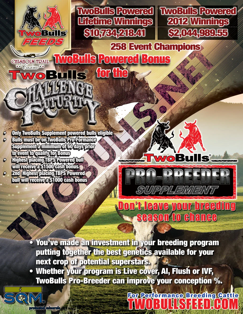 TwoBulls-Feed-Bucking-Stock-Ad-Pro-Breeder-Proof.jpg