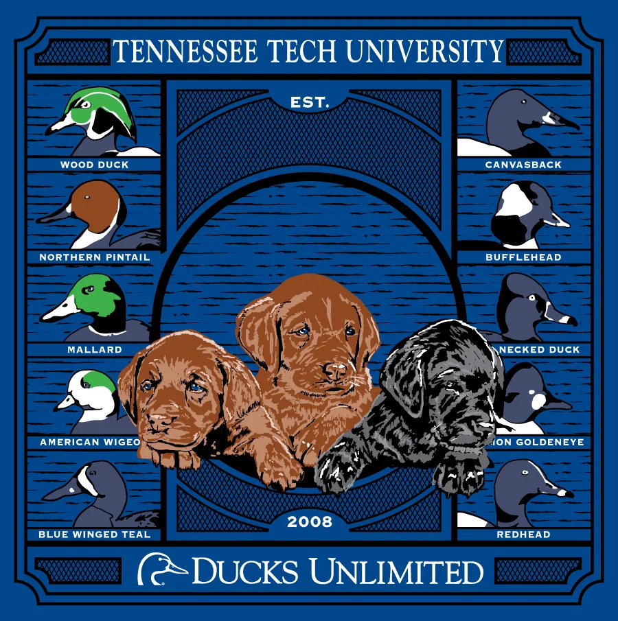 Ducks-Unlimited.jpg