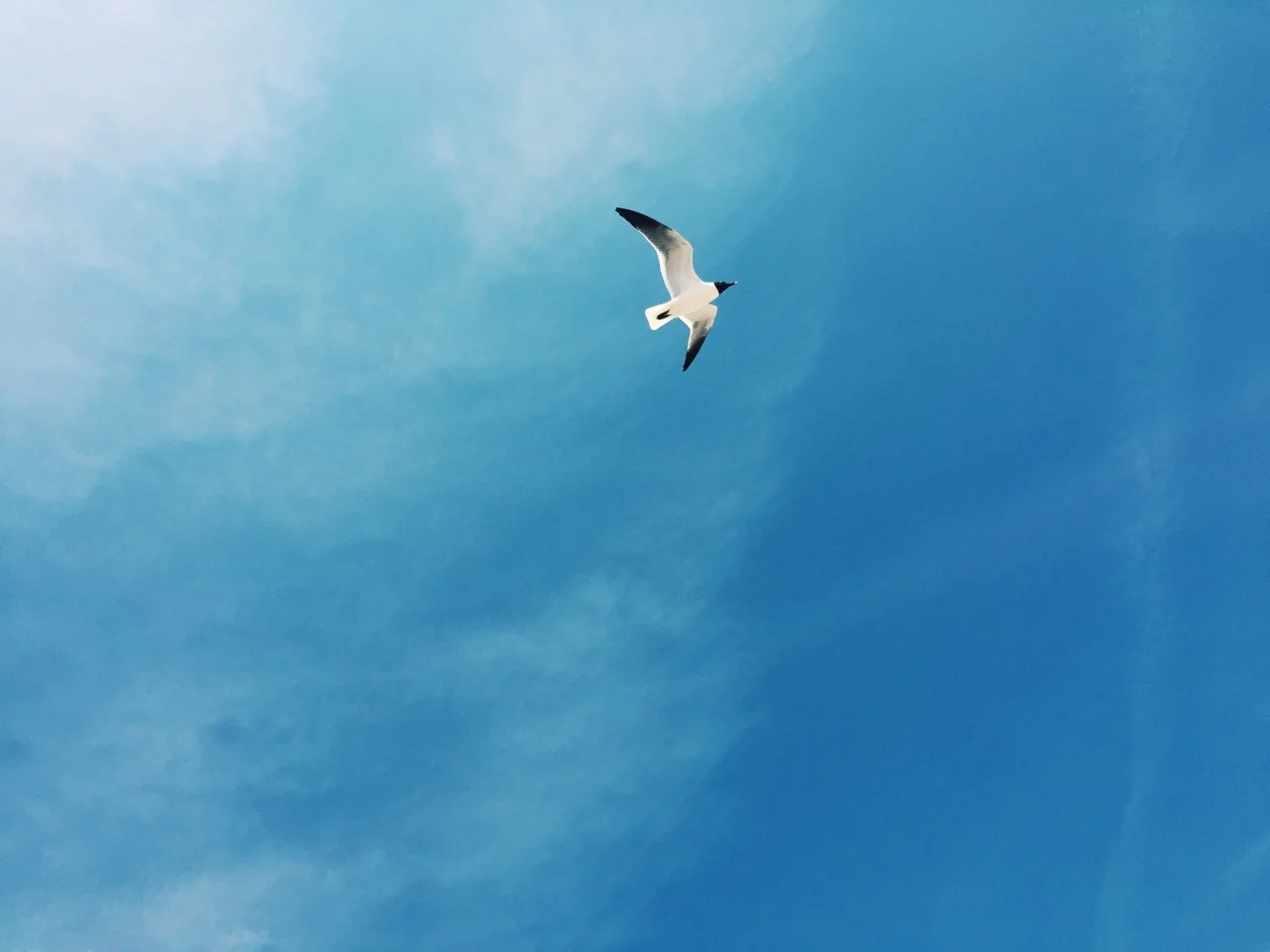 tumblr_nqrypcAjMU1qae0njo2_1280.jpg