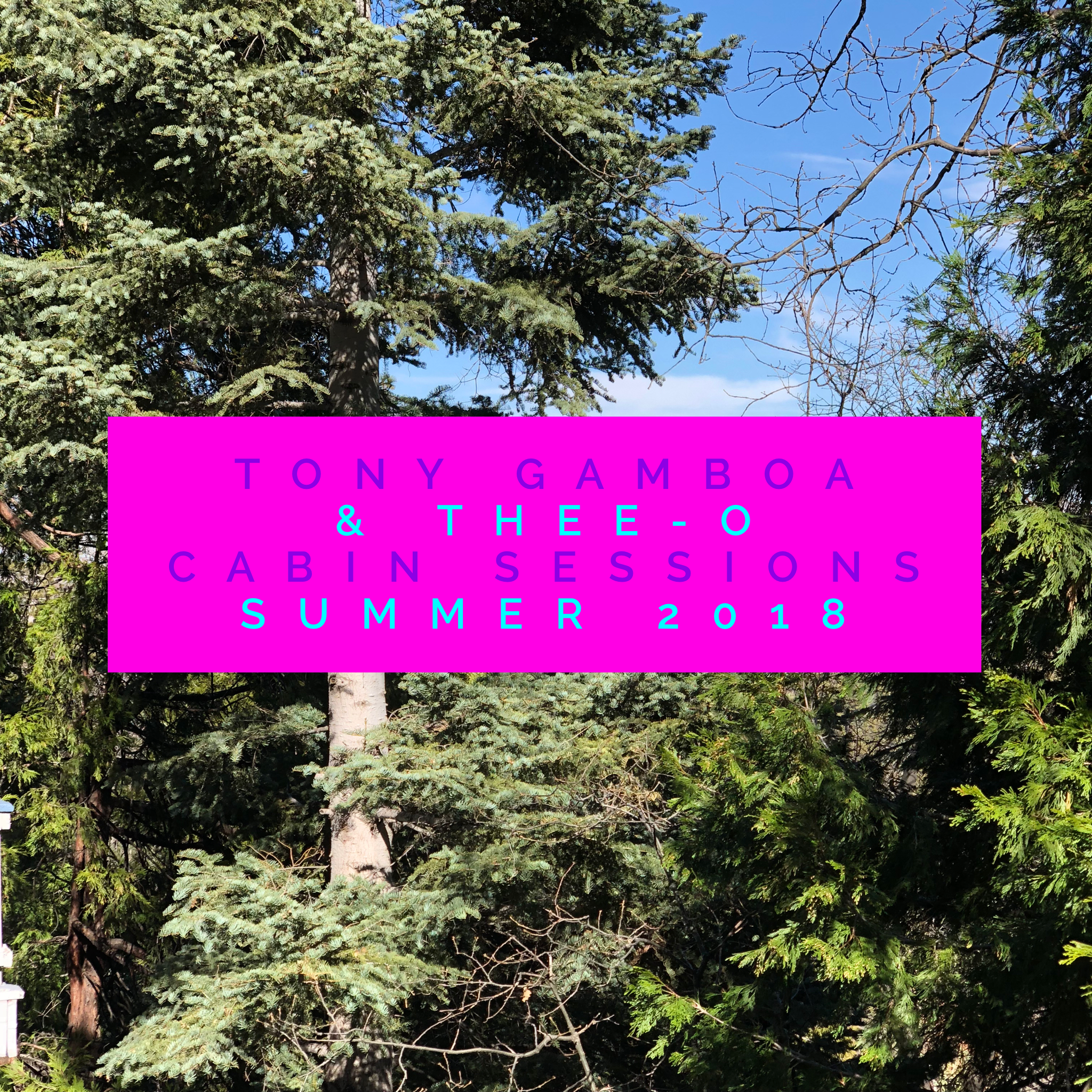 cabinsessions.png