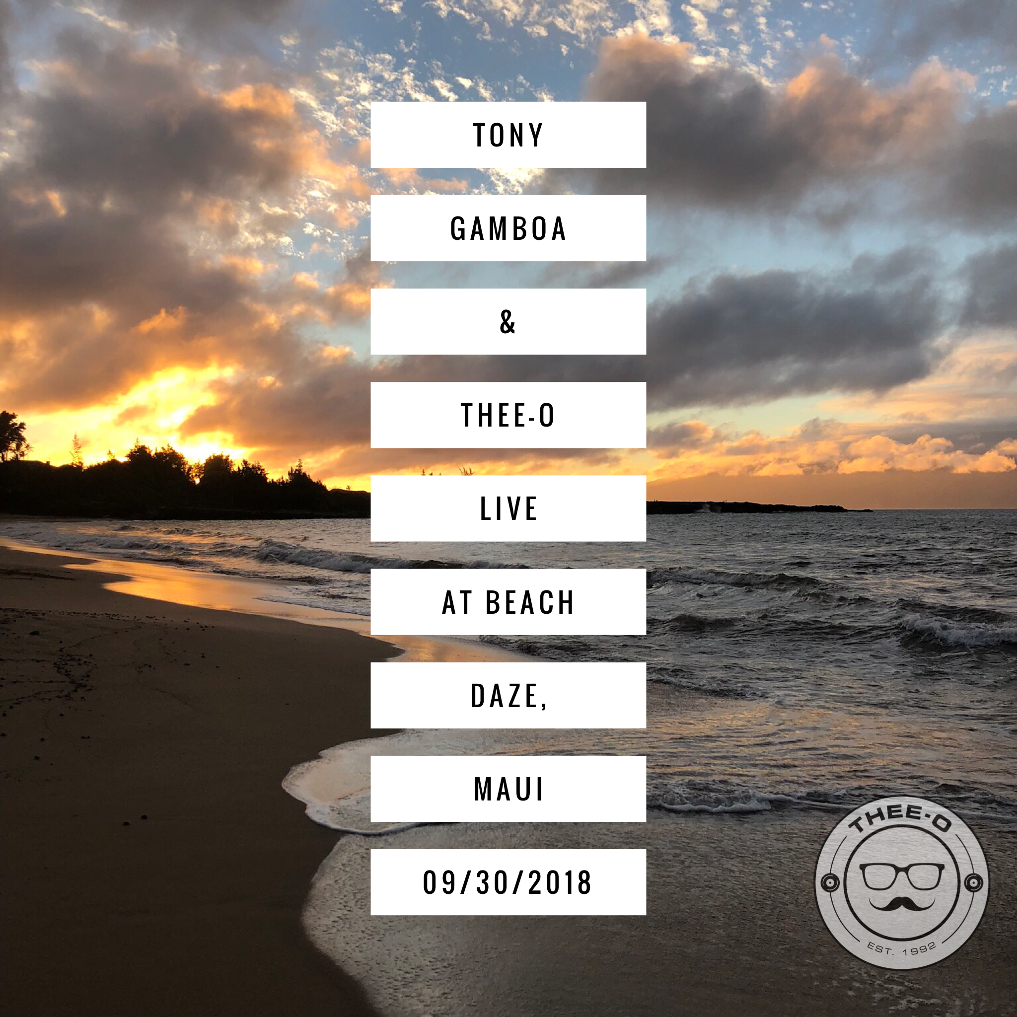 mauibeachdaze.png