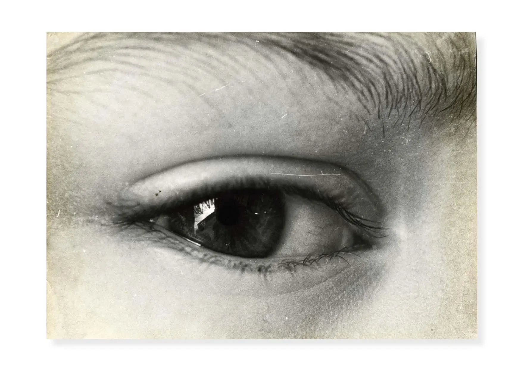 Close-up black and white photograph of a human eye, showing the eyebrow, eyelid, iris, and eyelashes.