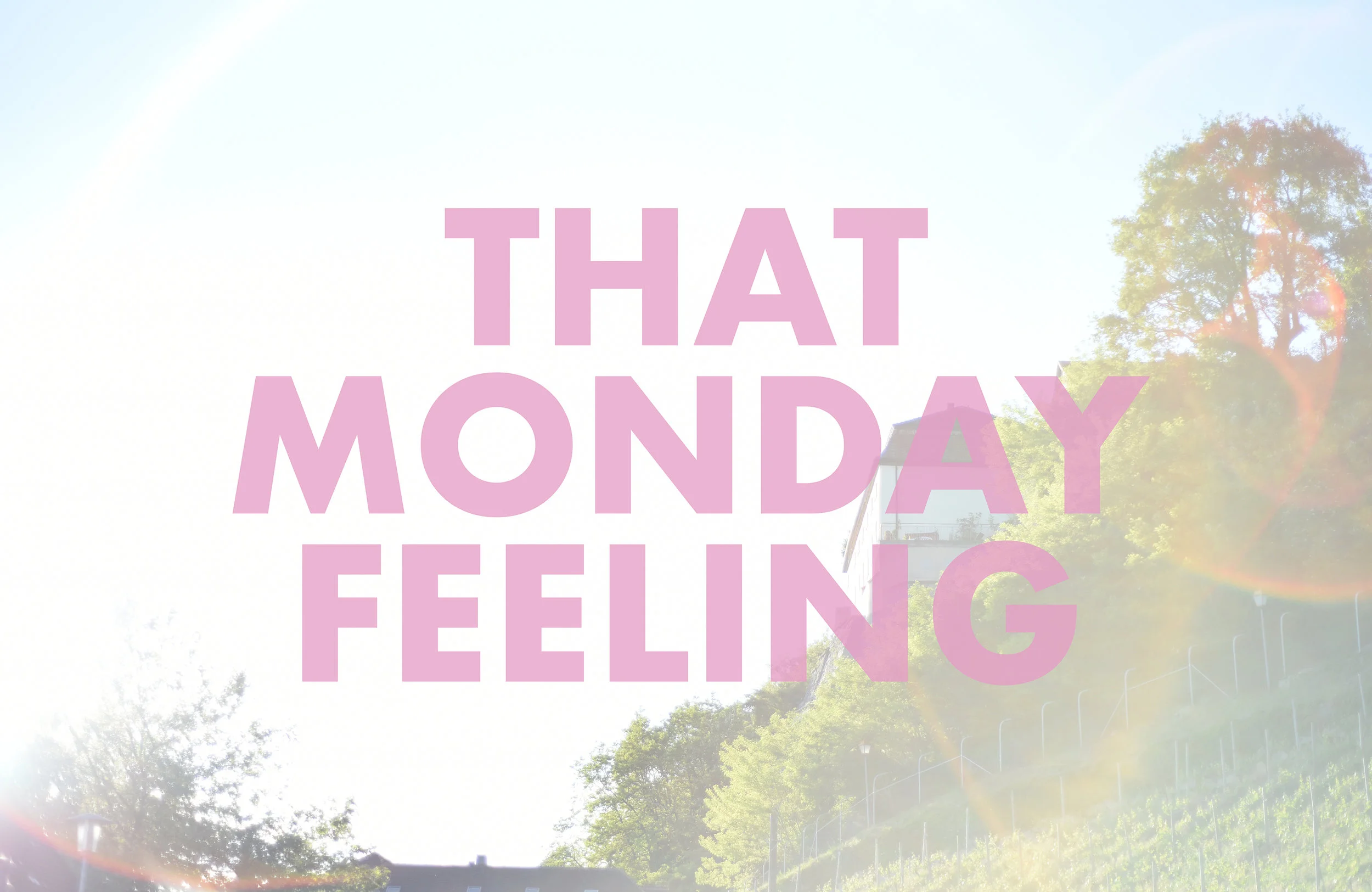 THATMONDAYFEELING , 2018 Meersburg, Germany