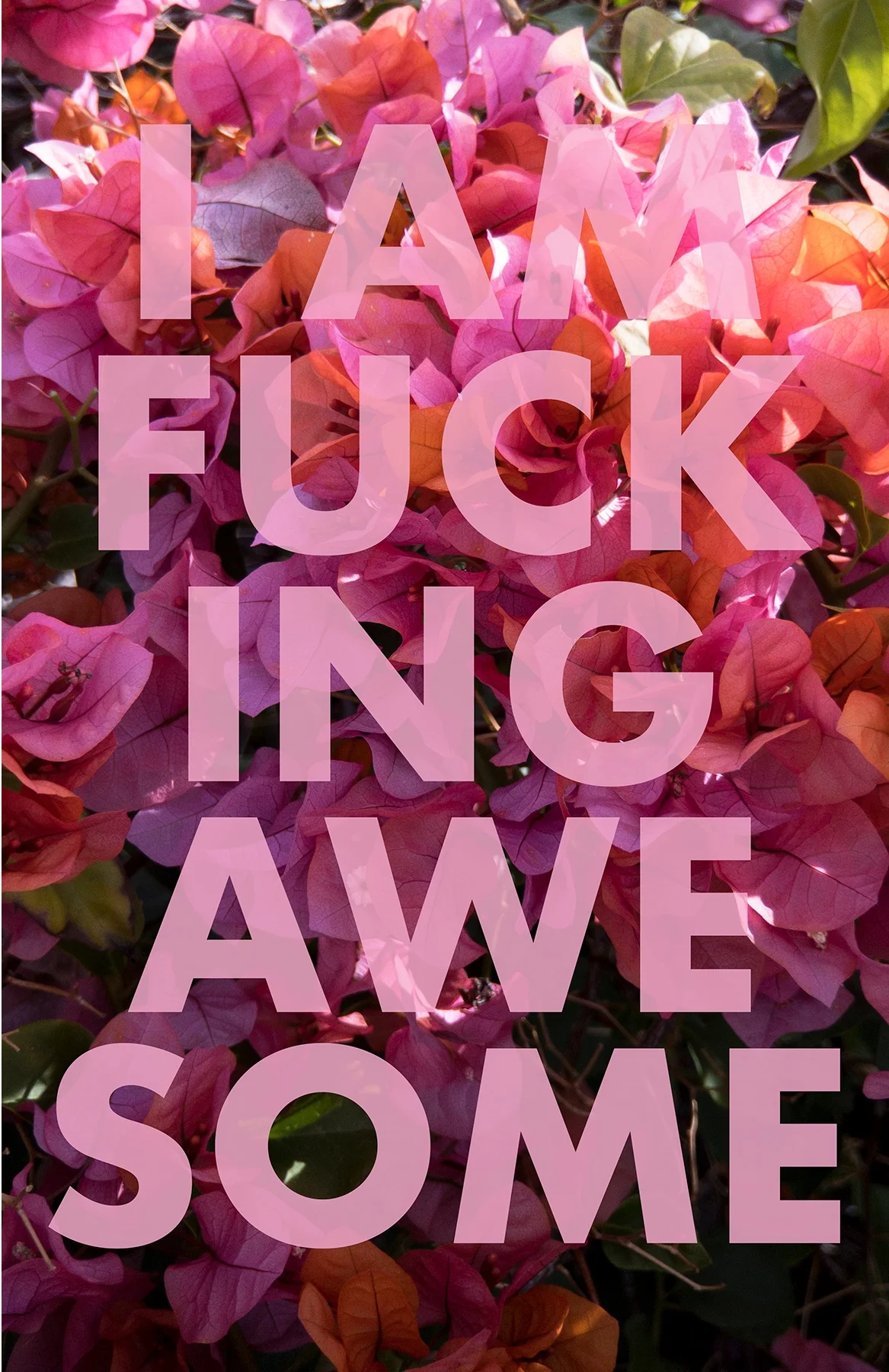 IAMFUCKINGAWESOME - WEB.jpg
