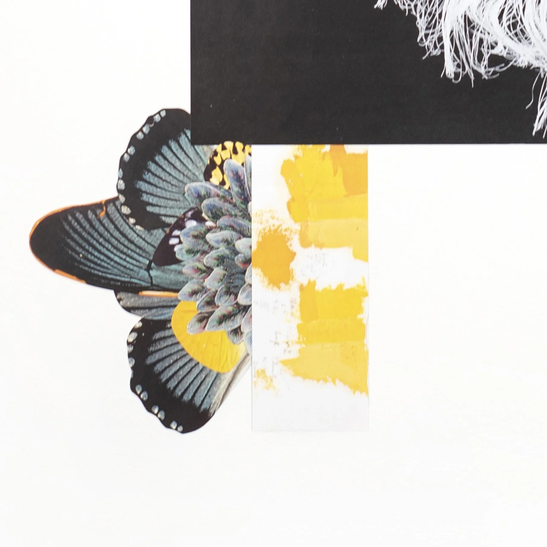 Hoerdemann, Emily_Goldenrod detail 2.jpg