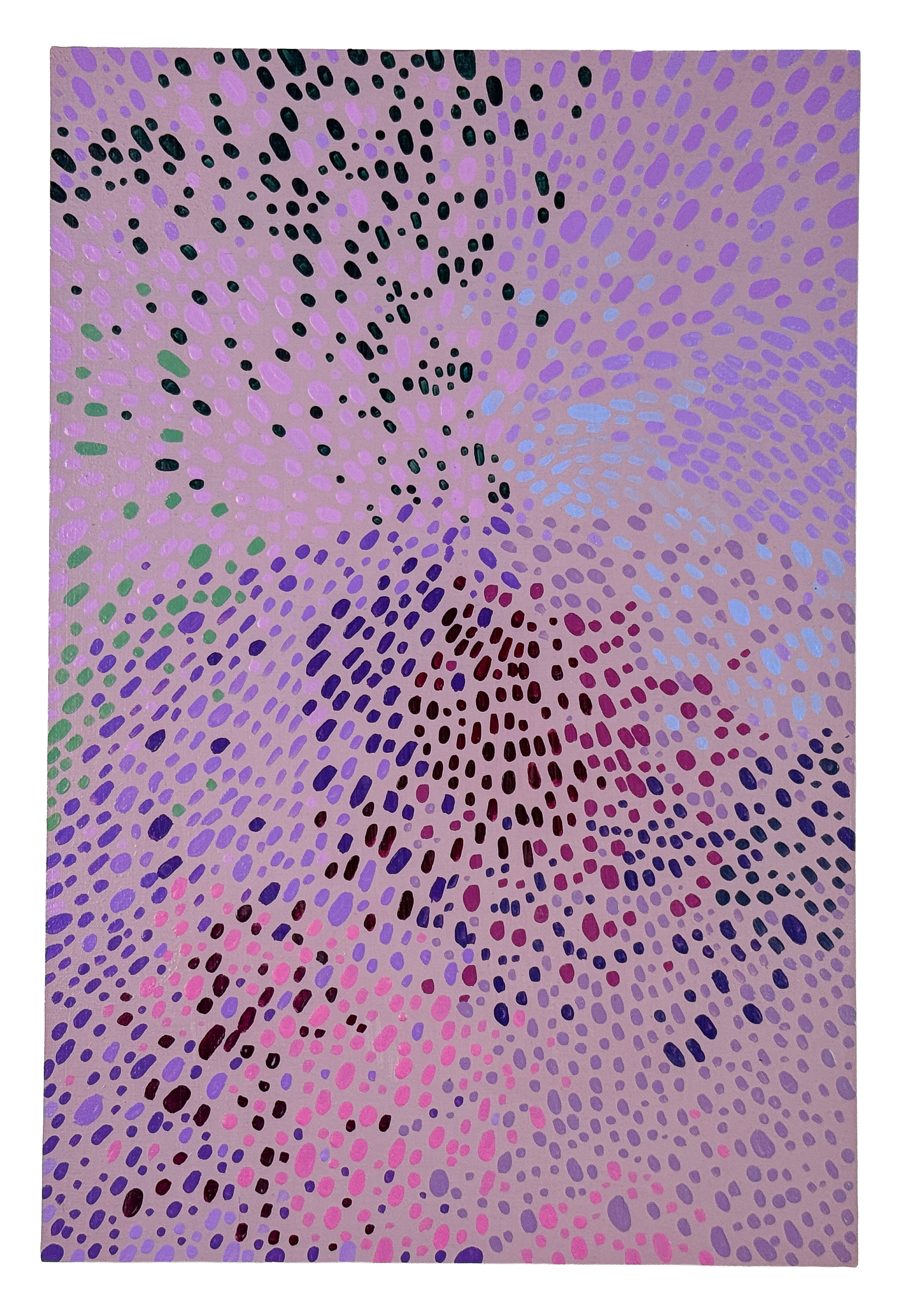 Iris Palette I, 2026 Acrylic on panel 12 x 8 inches