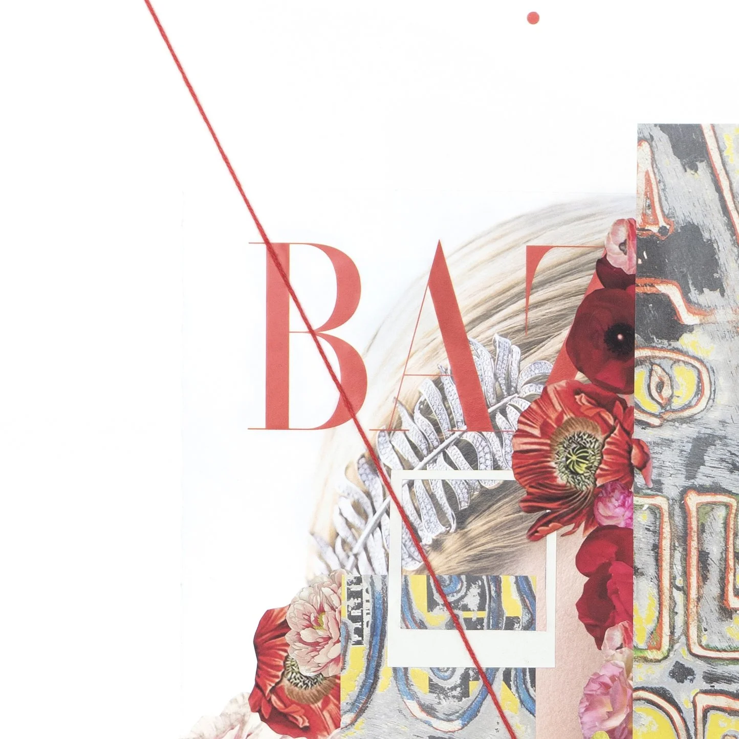 Hoerdemann, Emily_Scarlet detail.jpg