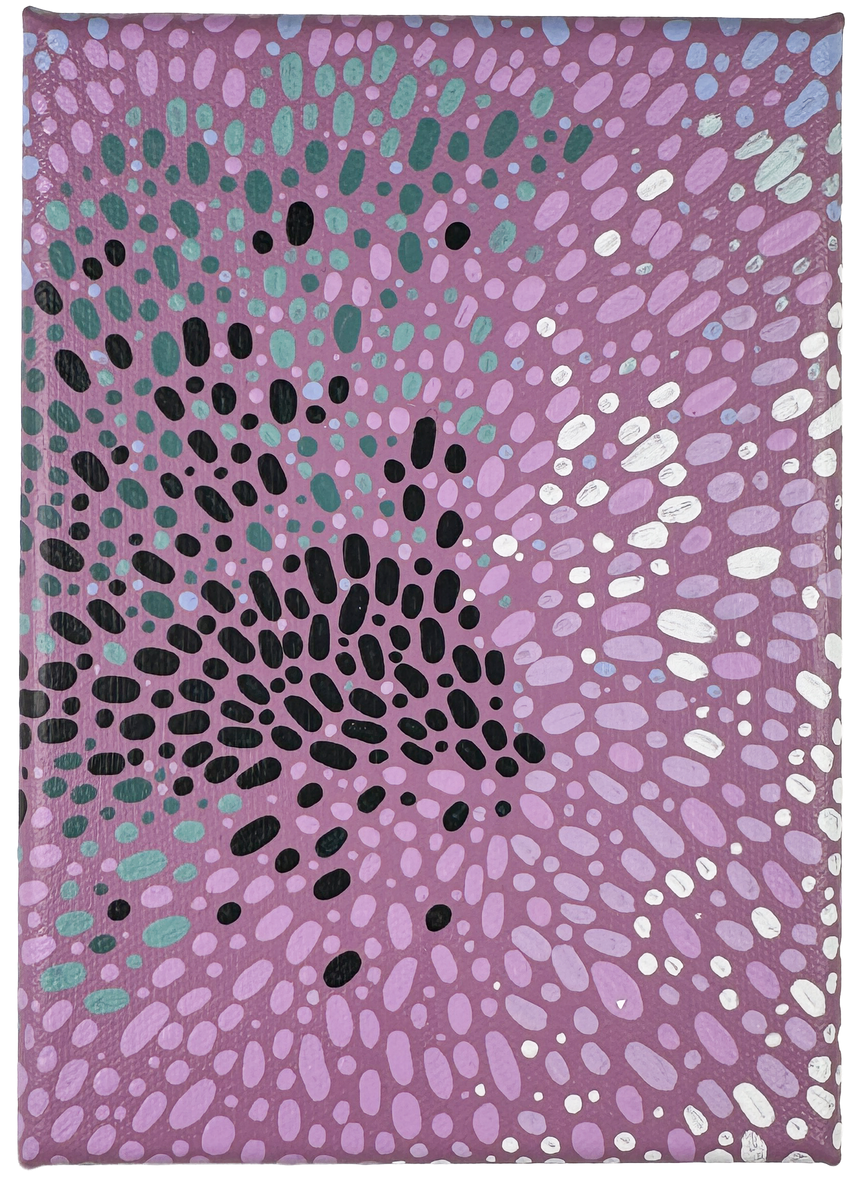 Lacy Phacelia I, 2026 Acrylic on canvas 7 x 5 inches