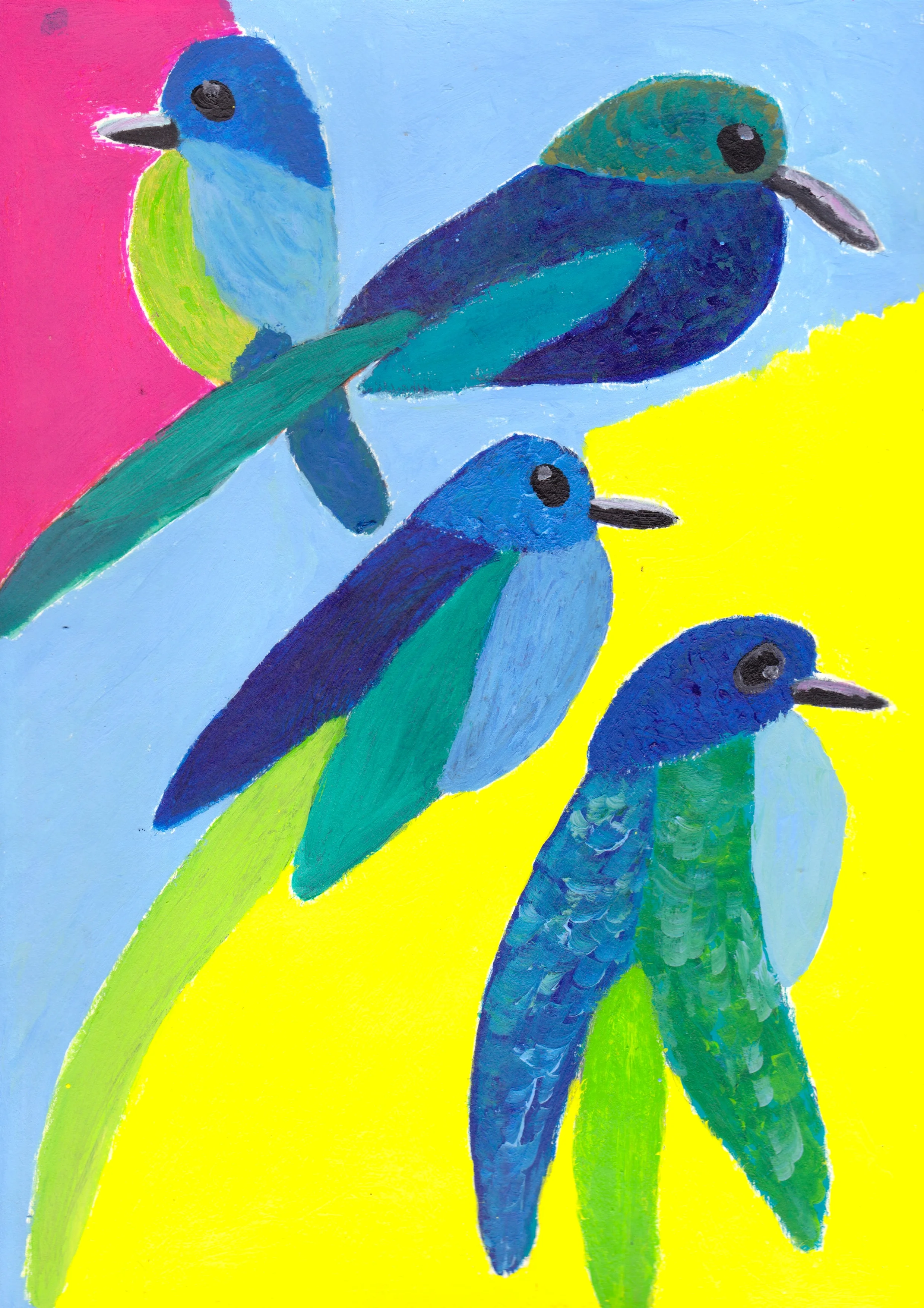 ainbow Family Mot Mot